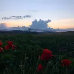 Bulgarka - булгарка Konukevi