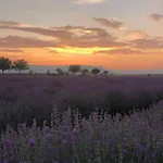 Bulgarka - булгарка Konukevi 3*